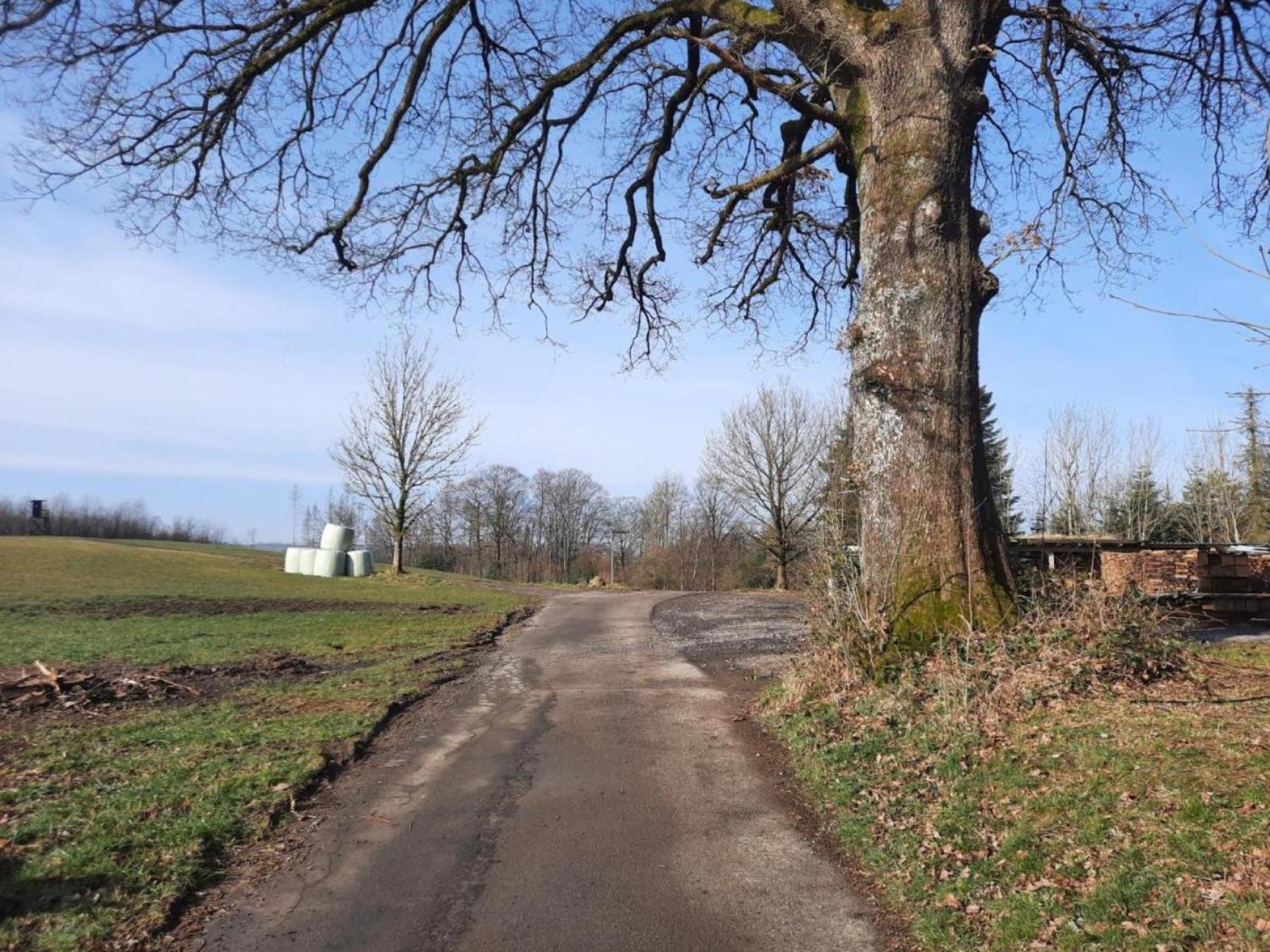 Dörflich *
